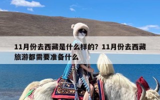 11月份去西藏是什么样的？11月份去西藏旅游都需要准备什么