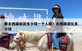 要去西藏旅游多少钱一个人呢？去西藏游玩多少钱