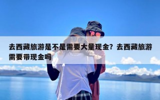 去西藏旅游是不是需要大量现金？去西藏旅游需要带现金吗
