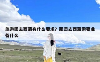 旅游团去西藏有什么要求？跟团去西藏需要准备什么