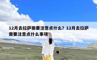 12月去拉萨需要注意点什么？12月去拉萨需要注意点什么事项