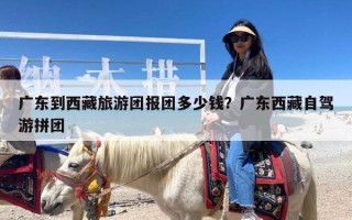 广东到西藏旅游团报团多少钱？广东西藏自驾游拼团
