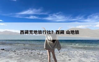 西藏荒地旅行社？西藏 山地旅