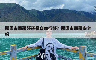 跟团去西藏好还是自由行好？跟团去西藏安全吗