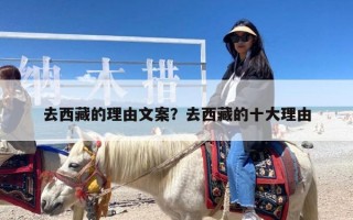 去西藏的理由文案？去西藏的十大理由