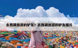 去西藏旅游的驴友？去西藏旅游的驴友图片
