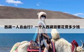 西藏一人自由行？一个人西藏游要花费多少钱