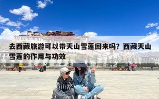 去西藏旅游可以带天山雪莲回来吗？西藏天山雪莲的作用与功效