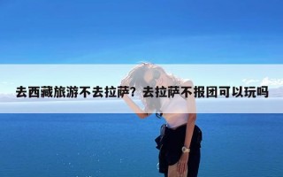 去西藏旅游不去拉萨？去拉萨不报团可以玩吗