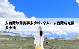 去西藏旅游需要多少钱2个人？去西藏玩儿要多少钱