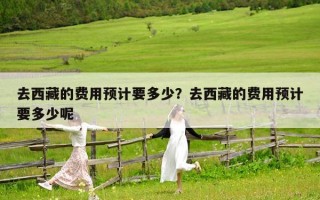 去西藏的费用预计要多少？去西藏的费用预计要多少呢