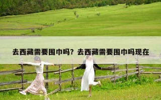 去西藏需要围巾吗？去西藏需要围巾吗现在