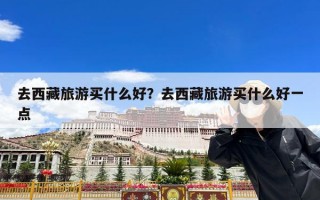 去西藏旅游买什么好？去西藏旅游买什么好一点