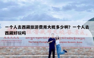一个人去西藏旅游费用大概多少啊？一个人去西藏好玩吗