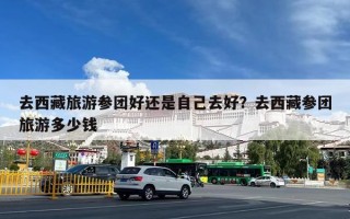 去西藏旅游参团好还是自己去好？去西藏参团旅游多少钱