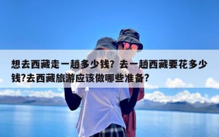 想去西藏走一趟多少钱？去一趟西藏要花多少钱?去西藏旅游应该做哪些准备?
