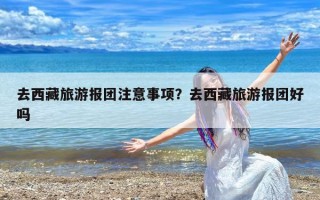 去西藏旅游报团注意事项？去西藏旅游报团好吗