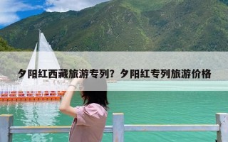 夕阳红西藏旅游专列？夕阳红专列旅游价格