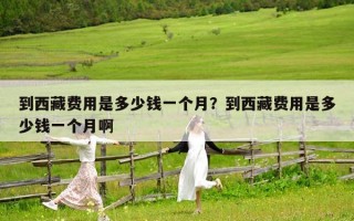 到西藏费用是多少钱一个月？到西藏费用是多少钱一个月啊