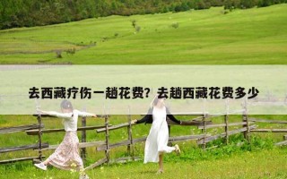 去西藏疗伤一趟花费？去趟西藏花费多少