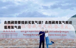 去西藏需要提前买氧气袋？去西藏用氧气瓶还是用氧气袋
