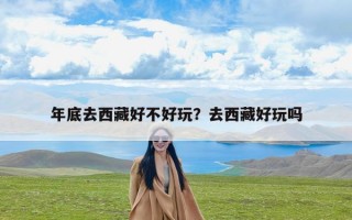 年底去西藏好不好玩？去西藏好玩吗
