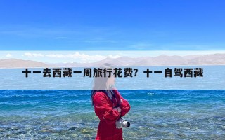 十一去西藏一周旅行花费？十一自驾西藏