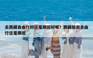 去西藏自由行好还是跟团好呢？西藏旅游自由行还是跟团