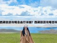 西藏旅游攻略自由行详细？西藏旅游攻略百科