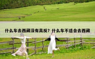 什么车去西藏没有高反？什么车不适合去西藏