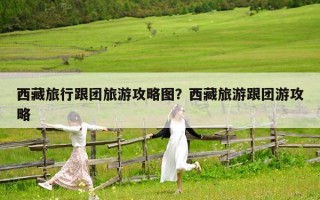 西藏旅行跟团旅游攻略图？西藏旅游跟团游攻略