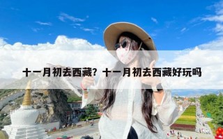 十一月初去西藏？十一月初去西藏好玩吗