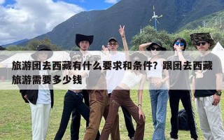 旅游团去西藏有什么要求和条件？跟团去西藏旅游需要多少钱