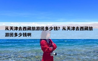 从天津去西藏旅游团多少钱？从天津去西藏旅游团多少钱啊