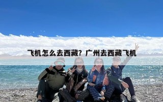 飞机怎么去西藏？广州去西藏飞机