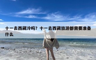 十一去西藏冷吗？十一去西藏旅游都需要准备什么