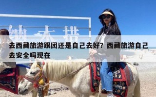 去西藏旅游跟团还是自己去好？西藏旅游自己去安全吗现在