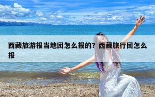 西藏旅游报当地团怎么报的？西藏旅行团怎么报