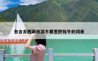 包含去西藏旅游不要惹野牦牛的词条