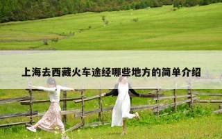 上海去西藏火车途经哪些地方的简单介绍