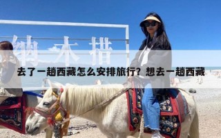 去了一趟西藏怎么安排旅行？想去一趟西藏