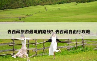 去西藏旅游最坑的路线？去西藏自由行攻略
