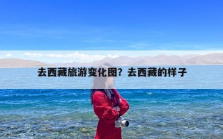 去西藏旅游变化图？去西藏的样子