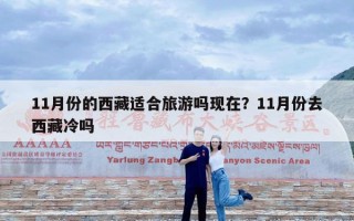 11月份的西藏适合旅游吗现在？11月份去西藏冷吗