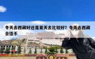 冬天去西藏好还是夏天去比较好？冬天去西藏合适不