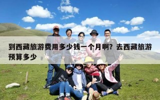 到西藏旅游费用多少钱一个月啊？去西藏旅游预算多少