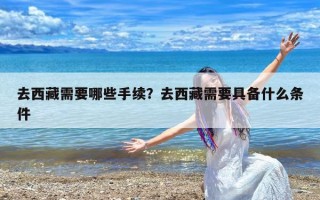 去西藏需要哪些手续？去西藏需要具备什么条件