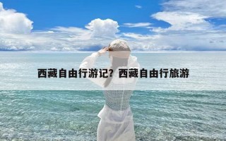 西藏自由行游记？西藏自由行旅游