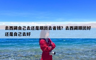 去西藏自己去还是跟团去省钱？去西藏跟团好还是自己去好