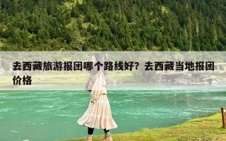 去西藏旅游报团哪个路线好？去西藏当地报团价格